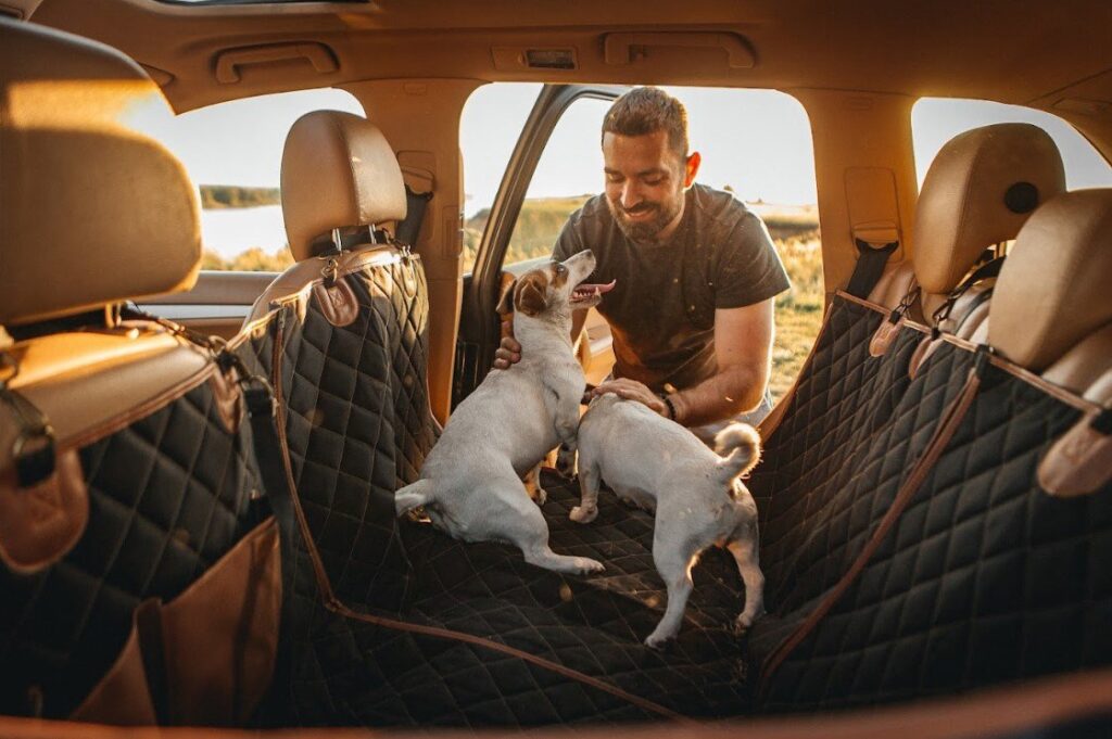 dog hammock car seat cover
